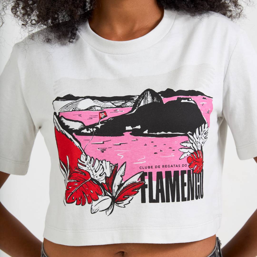 fla-braziline-cenario -1-